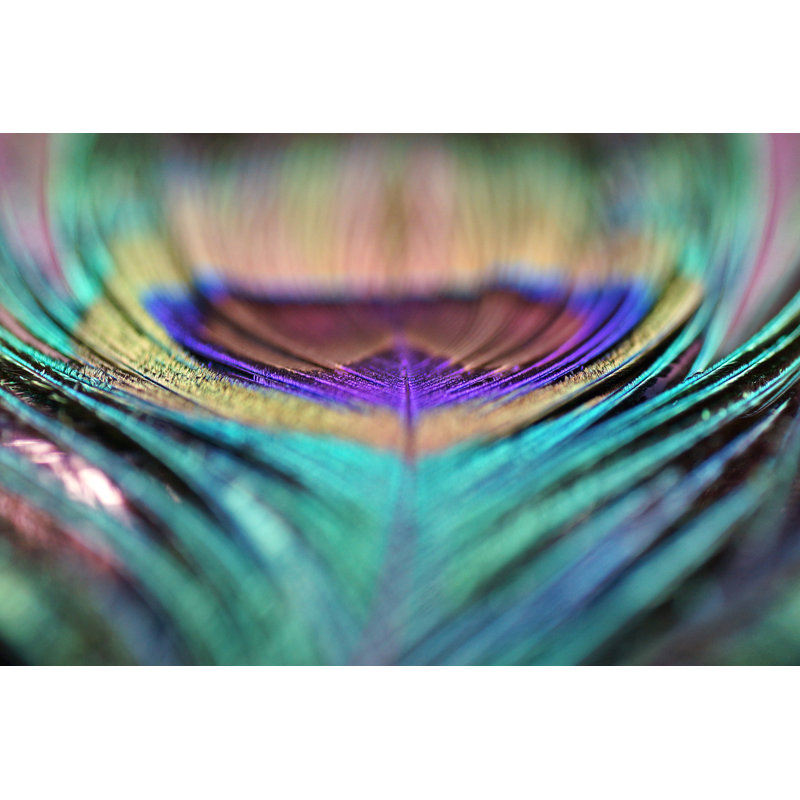 «Abstract Peacock Feather» par Fotomaximum - Photographie de toile tendue, L 12 po x H 8 po