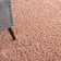 Murial Performance Indoor Rug