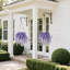 Faux fleurs de glycine artificielles suspendues-509353504
