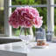 Arrangement d'hortensias dans un vase-1835935734