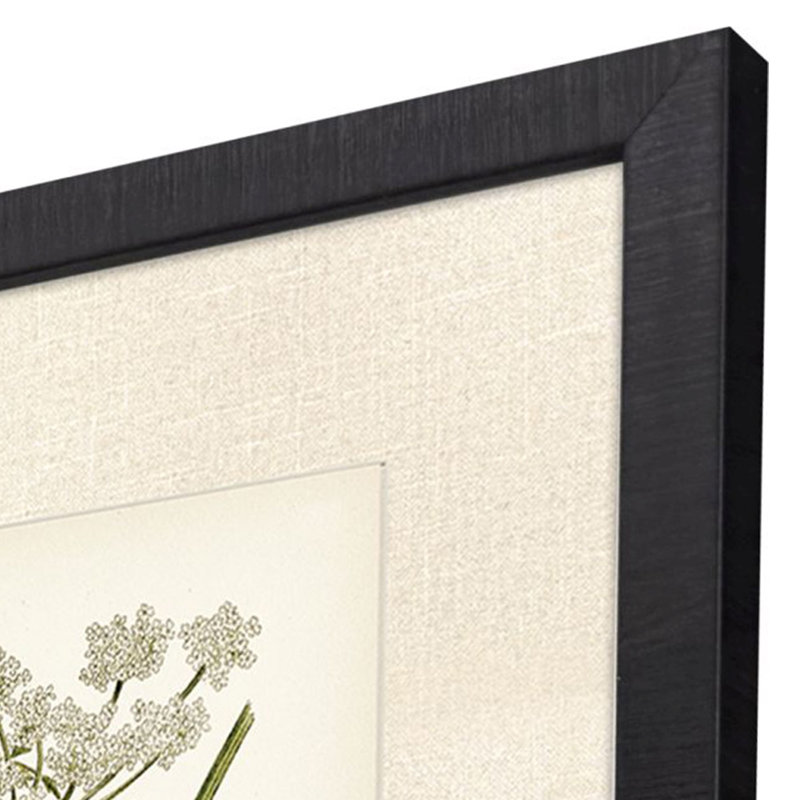 Queen's Lace I S / 2