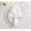 Spectra Napkin Ring Set-917278208