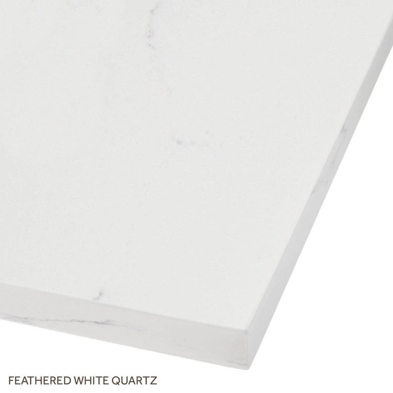 Patzi 48" Free Standing Single Basin Vanity Set with Cabinet and Vanity Top, Feathered White Quartz