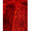 Overyed One-of-a-Kind Rectangle 4'2" X 6'5" Hand Knotted Area Rug