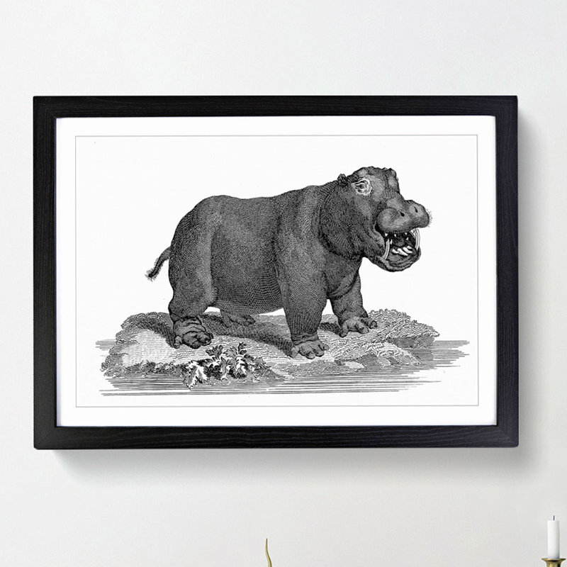 Hippopotamus in Black and White by George Shaw - Picture Frame Drawing Print, 27cm H x 36cm W x 2cm D, Black Framed