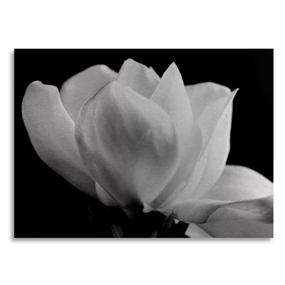 « gardenia » par michael harrison, reproduction d’art sur aluminium brossé