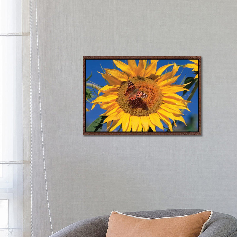 Painted Lady Butterfly On Sunflower, New Mexico 1 Piece Wall Art on Canvas, 66.04 cm H x 45.72 cm W, Classic Wood Framed