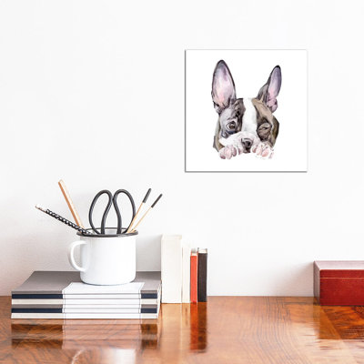 Winking Boston Terrier 1 Piece Wrapped Canvas Painting