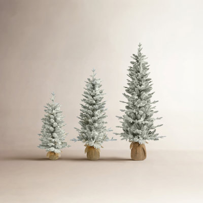 Flocked 5' Pre-Lit Spruce Christmas Tree