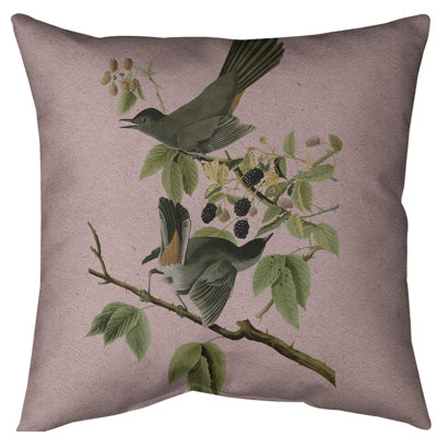 Housse pour oreiller en dollar d’oiseau pour chat
