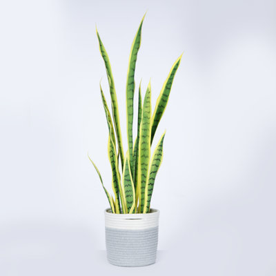 window indoor planter Lakeside Windowsill Herb Planter-Self Watering