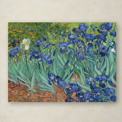 Vincent Van Gogh Mid-Century