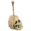 Bathroom Skullduggery Free Standing Toilet Brush and Holder