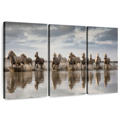 Brampt White Camargue Horse Running In The Ocean V