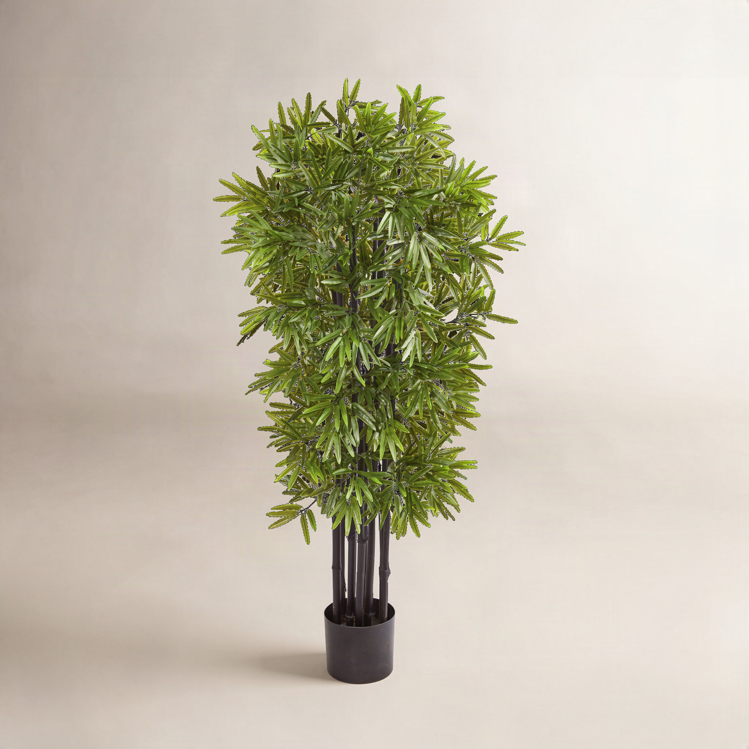 Bamboo Tree in Pot, 51" H x 18" W x 17" D