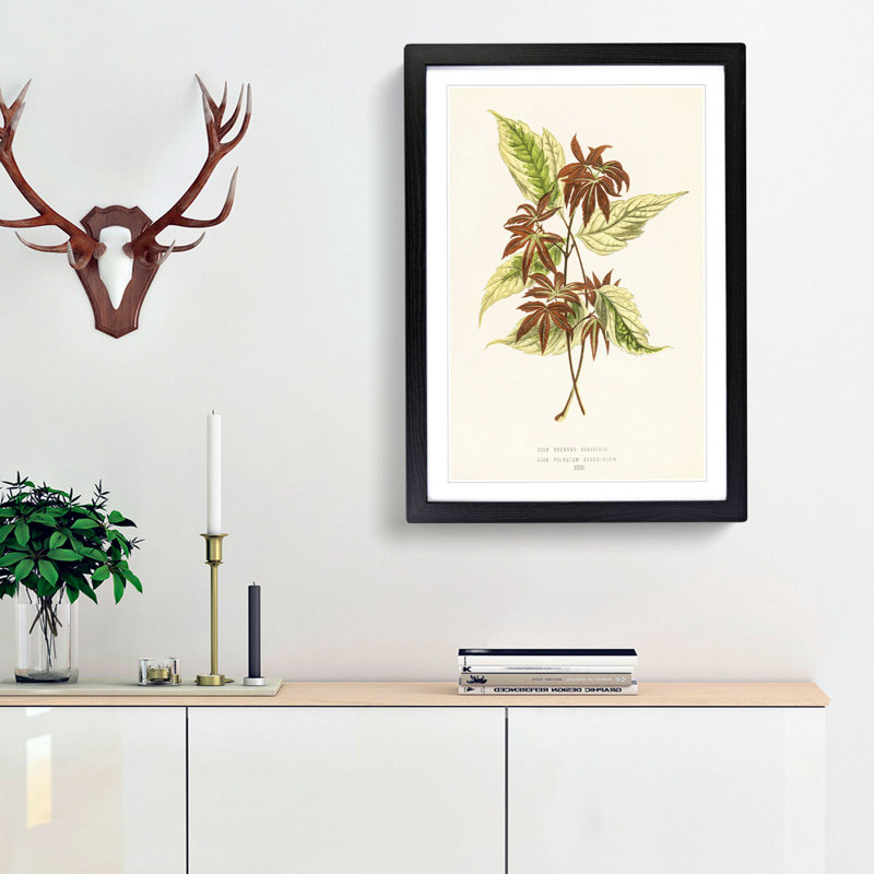 Boxelder Maple Leaf - Framed Print, Black Framed, 87cm H x 62cm W x 2cm D