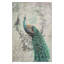 Poise peacock, impression sur toile tendue