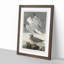 Herring Gulls by John Audubon - Framed Print-55579873-55579874