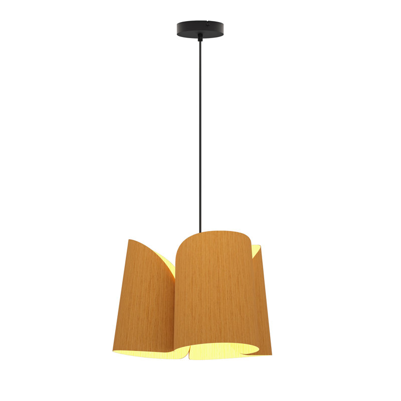 Luminaire suspendu 1 lumière de 18 po Julieta, Petribi