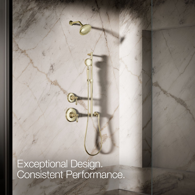 Artifacts Full/Standard Handheld Shower Head with Katalyst Air Induction Spray, Vibrant Gold