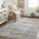 Latonia Oriental Indoor Rug