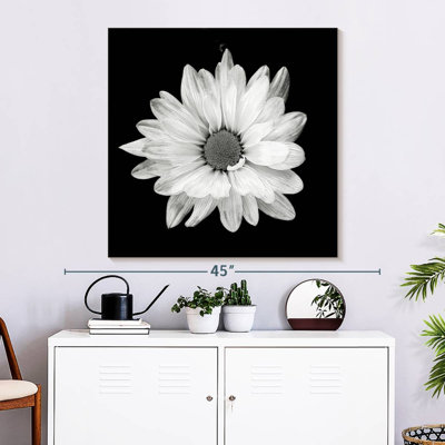 Harnek BW White Daisy