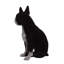 Statue de chien terrier de Boston