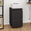 Canesha 39cm W 2-Drawer Office storage unit,Steel Filing Cabinet with 4 Casters-178017655