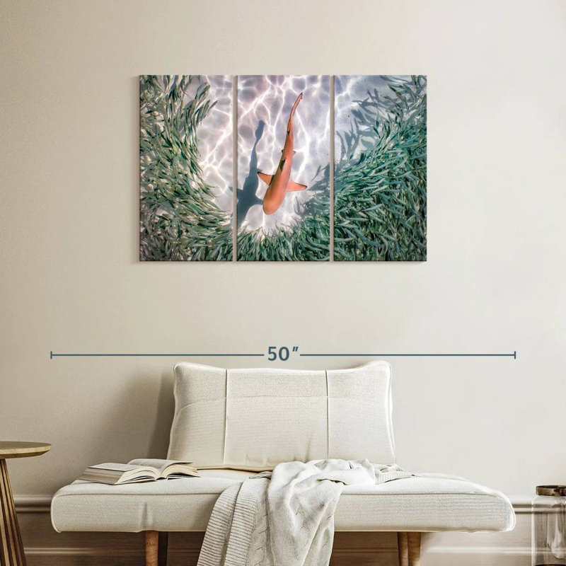 Brampt Baby Blacktip Reef Shark, 24" H x 38" W