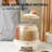 Edora Food Storage Container-435042449