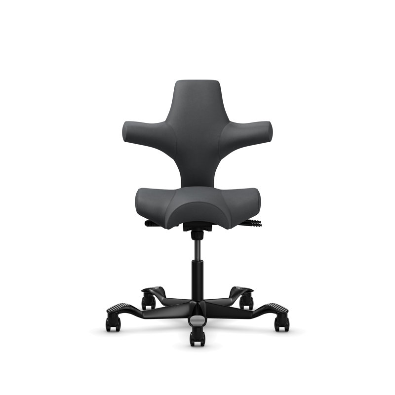 Chaise à hauteur standard réglable HœG Capisco, Standard, Noir, Gray Dove