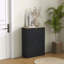 Armoire à chaussures mince pour le vestibule - 2 tiroirs rabattables avec tablettes réglables, peut contenir 12 paires, noir
