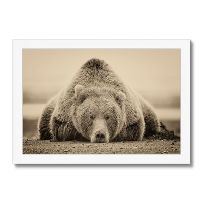 Deep Sleep by PHBurchett - Print