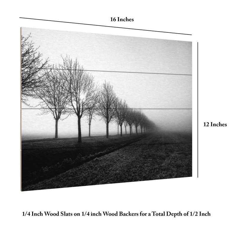 Christophe Staelens, H 12 po x l 16 po