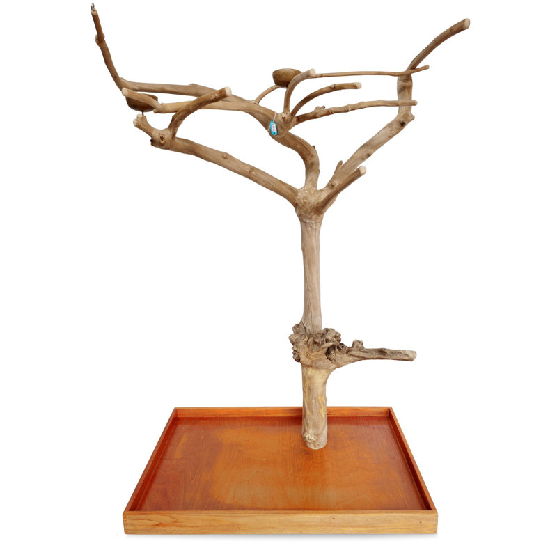 Meuble de jeu One-of-a-Kind Java Tree Bird par A&E
