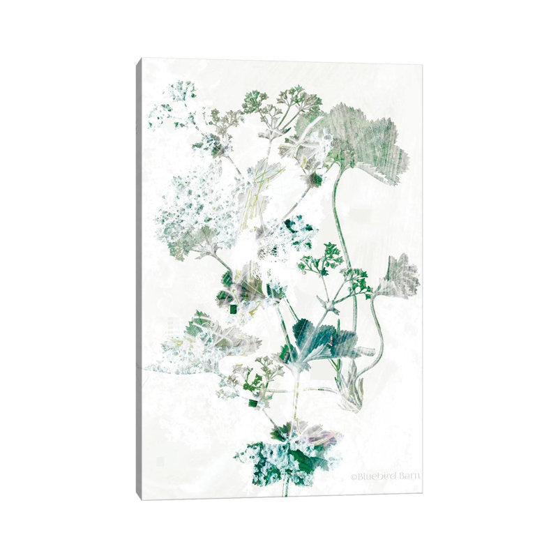 Geranium Botanical by Bluebird Barn - Wrapped Canvas Painting, 66.04 cm H x 45.72 cm W x 1.91 cm D