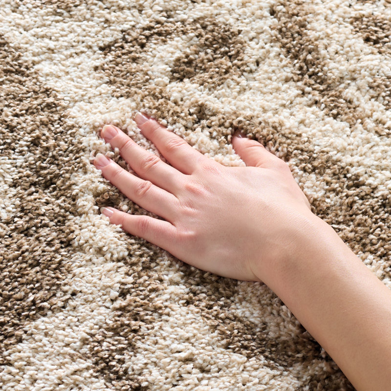 Tapis brun / beige Ellyona, Rectangle 4 pi x 6 pi