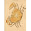 Cancer Print by Grand Archives-422076838-422076856