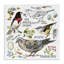 Art mural sur toile, "Bird regardant" par Jane Maday-735694082