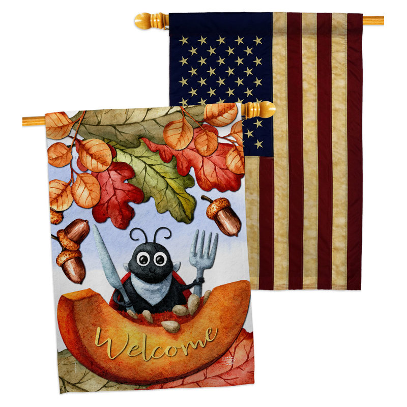 Drapeau de maison en polyester 2 côtés 3 pi 3 po x 2 pi