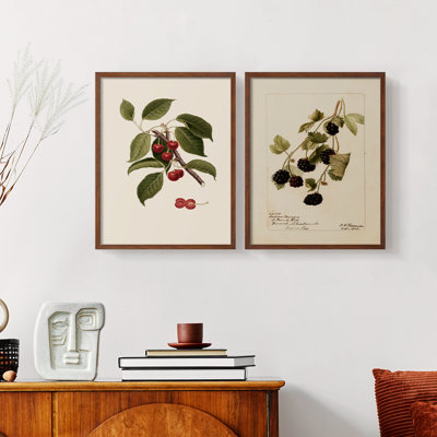 Vintage  Floral LXXIX  -Framed Giclee Print - Set of 2