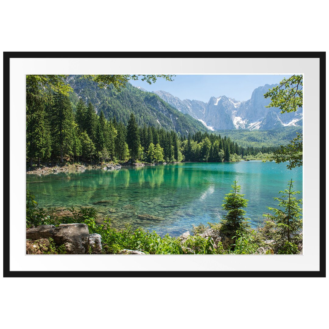 Gerahmtes Poster Wunderschöner See im Wald