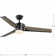 Kasota 56'' Ceiling Fan with LED Lights