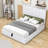 Mevelyn Upholstered Platform Bed-154634353