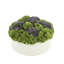 Assorted Sedum Floral Arrangement