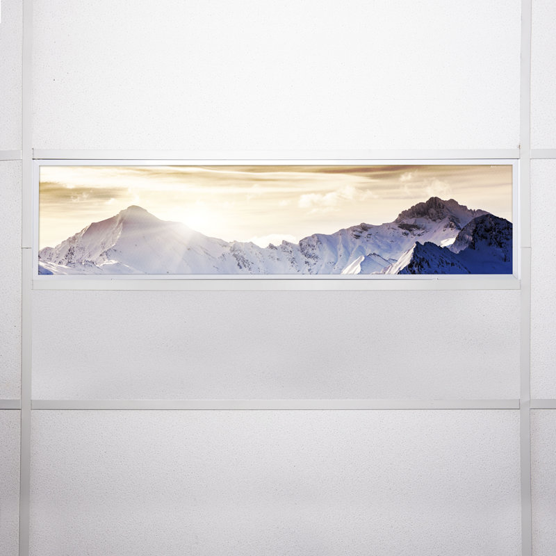 Landscape Rectangle Fixture Component Ceiling Light