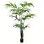 Palmier de Kentia artificiel en pot-1293466341