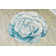Kishore Performance Floral Indoor Rug