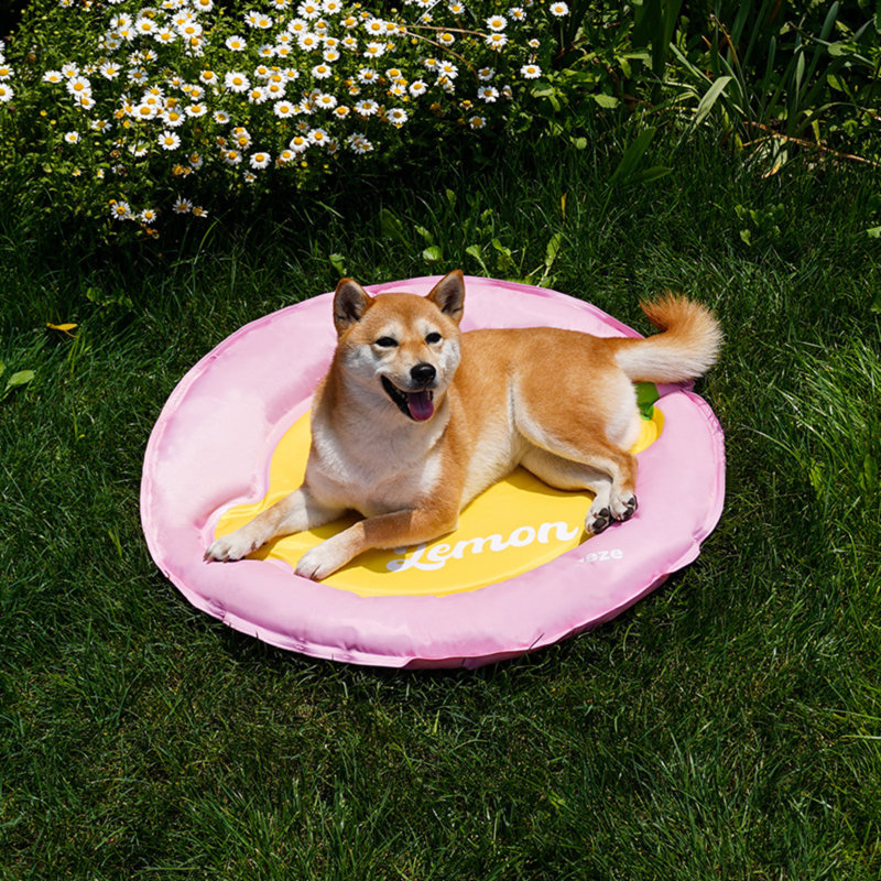 Lemon Cooling Dog Bed