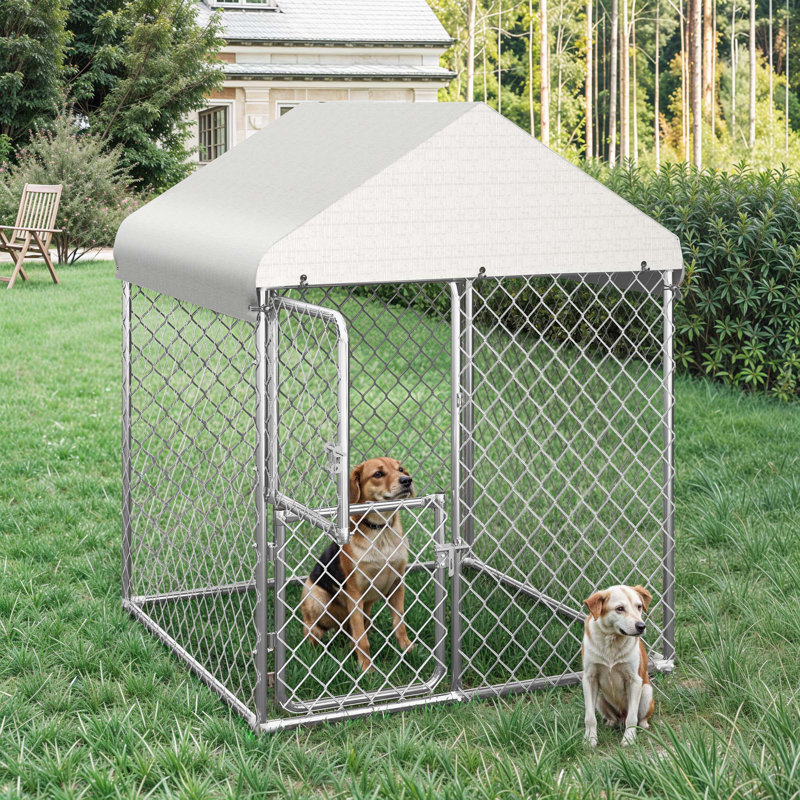  Chenil d'extérieur pour chien, cage pour chien robuste avec toit